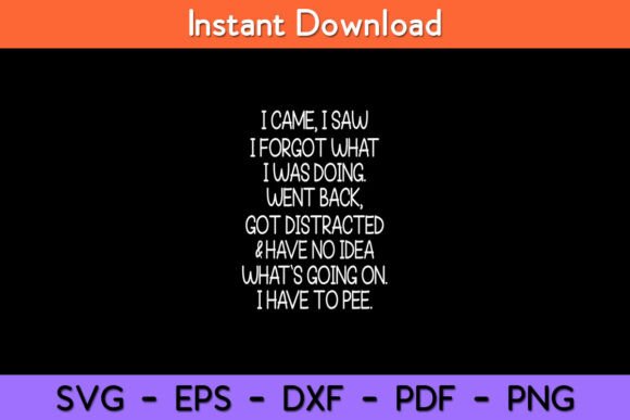 I Came I Saw I Forgot What I Was Doing Design Review
